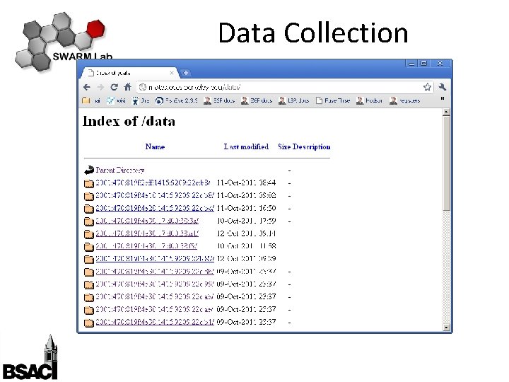 Data Collection 