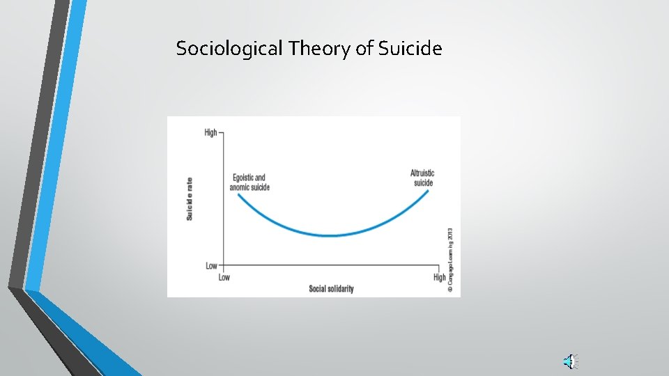 Sociological Theory of Suicide 