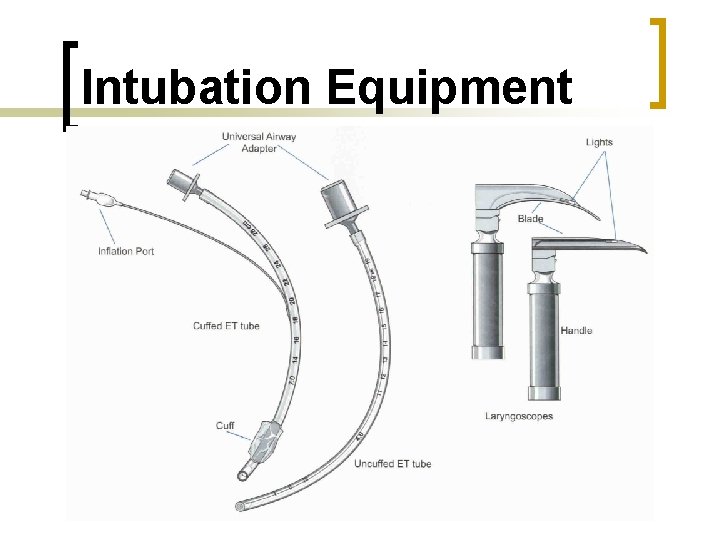 Intubation Equipment 