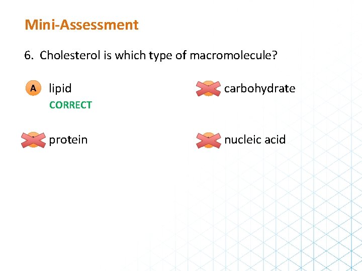 Mini-Assessment 6. Cholesterol is which type of macromolecule? A lipid C carbohydrate D nucleic