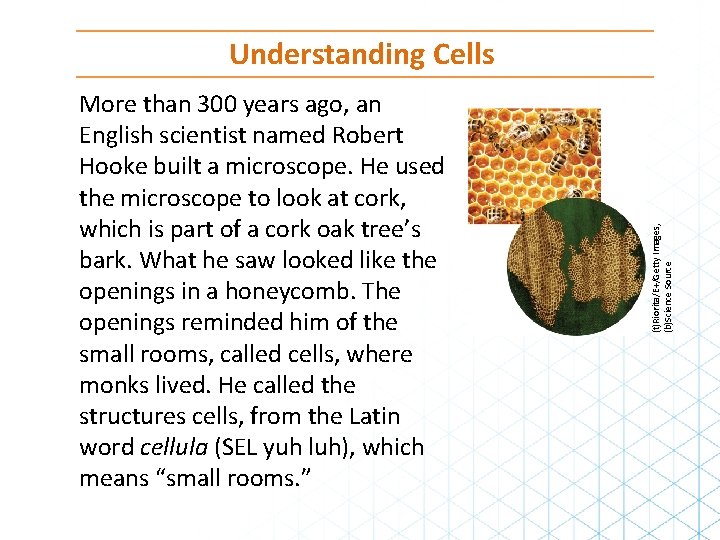 More than 300 years ago, an English scientist named Robert Hooke built a microscope.