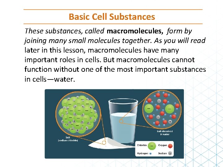 Basic Cell Substances These substances, called macromolecules, form by joining many small molecules together.