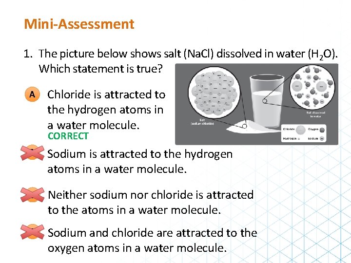 Mini-Assessment 1. The picture below shows salt (Na. Cl) dissolved in water (H 2
