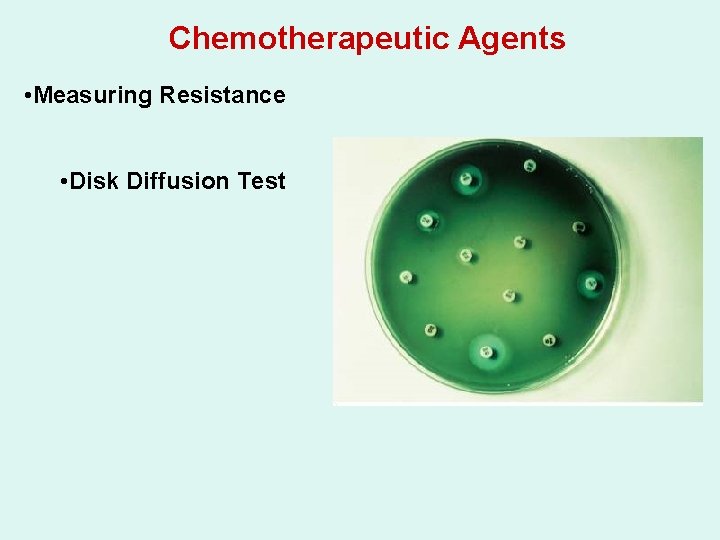 Chemotherapeutic Agents • Measuring Resistance • Disk Diffusion Test 