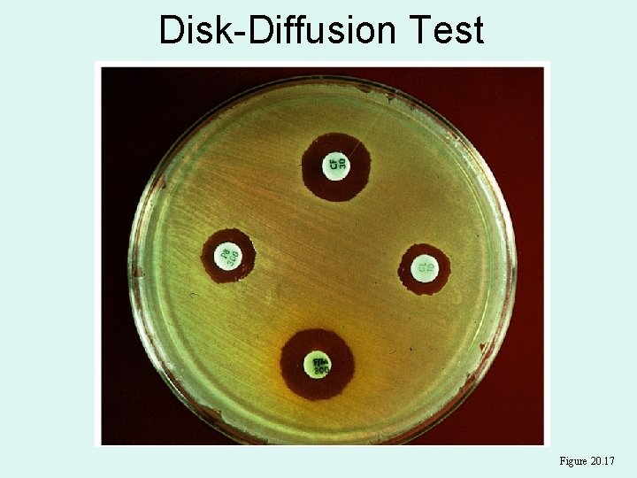 Disk-Diffusion Test Figure 20. 17 