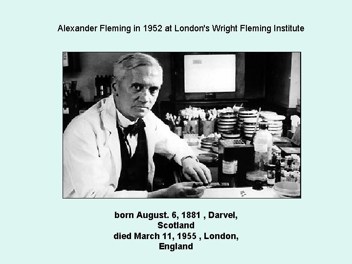 Alexander Fleming in 1952 at London's Wright Fleming Institute born August. 6, 1881 ,