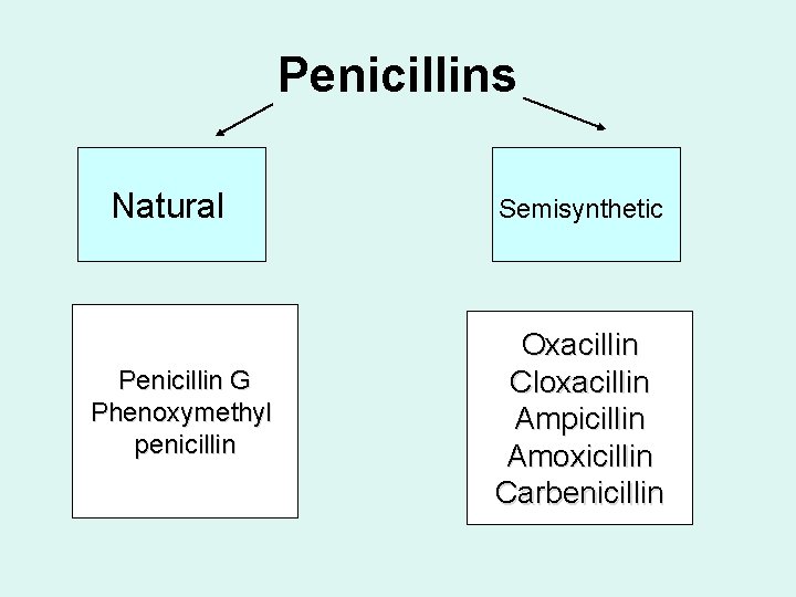 Penicillins Natural Penicillin G Phenoxymethyl penicillin Semisynthetic Oxacillin Cloxacillin Ampicillin Amoxicillin Carbenicillin 
