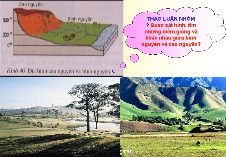 THẢO LUẬN NHÓM ? Quan sát hình, tìm những điểm giống và khác nhau
