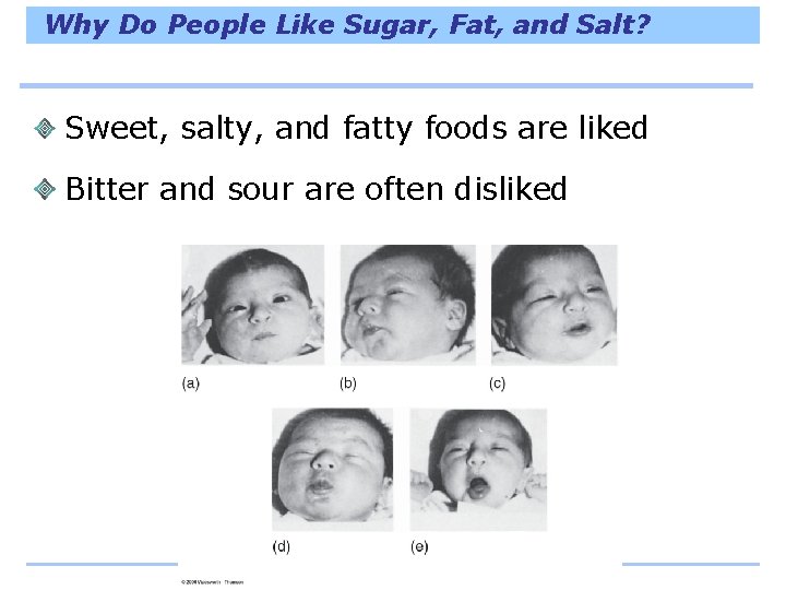 Why Do People Like Sugar, Fat, and Salt? Sweet, salty, and fatty foods are