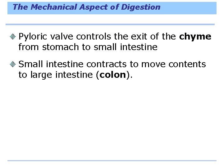 The Mechanical Aspect of Digestion Pyloric valve controls the exit of the chyme from
