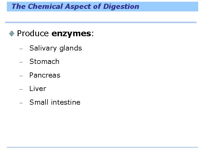 The Chemical Aspect of Digestion Produce enzymes: – Salivary glands – Stomach – Pancreas