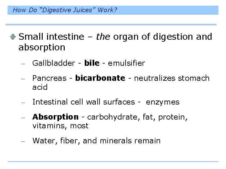 How Do “Digestive Juices” Work? Small intestine – the organ of digestion and absorption