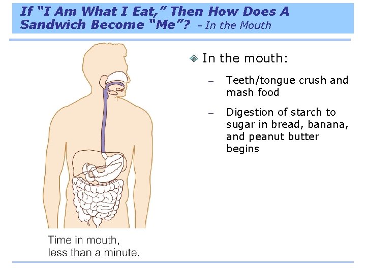 If “I Am What I Eat, ” Then How Does A Sandwich Become “Me”?