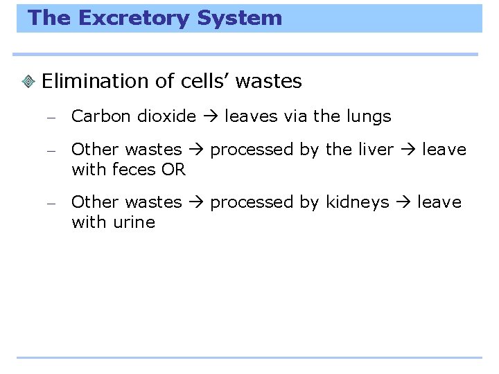 The Excretory System Elimination of cells’ wastes – Carbon dioxide leaves via the lungs