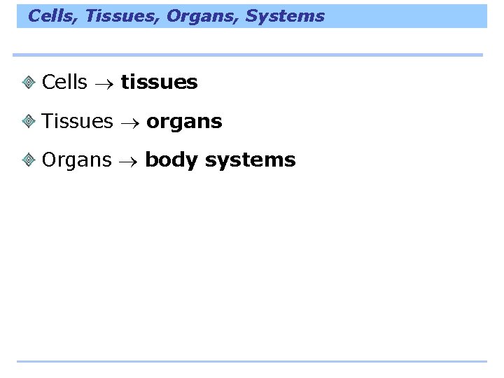 Cells, Tissues, Organs, Systems Cells tissues Tissues organs Organs body systems 