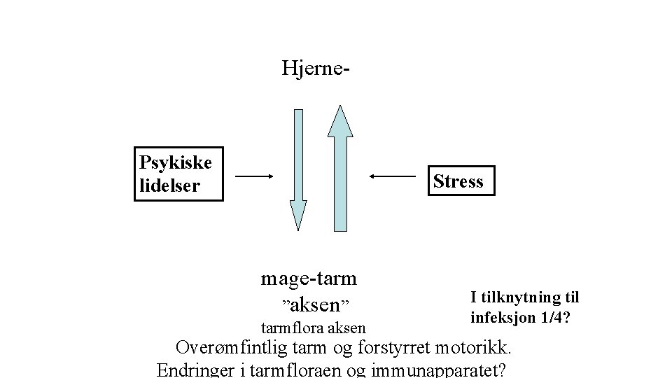 Hjerne- Psykiske lidelser Stress mage-tarm ”aksen” tarmflora aksen I tilknytning til infeksjon 1/4? Overømfintlig