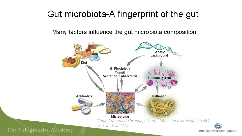 Gut microbiota-A fingerprint of the gut Many factors influence the gut microbiota composition Rome