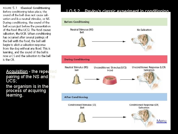 LO 5. 2 Pavlov’s classic experiment in conditioning Acquisition - the repeated pairing of