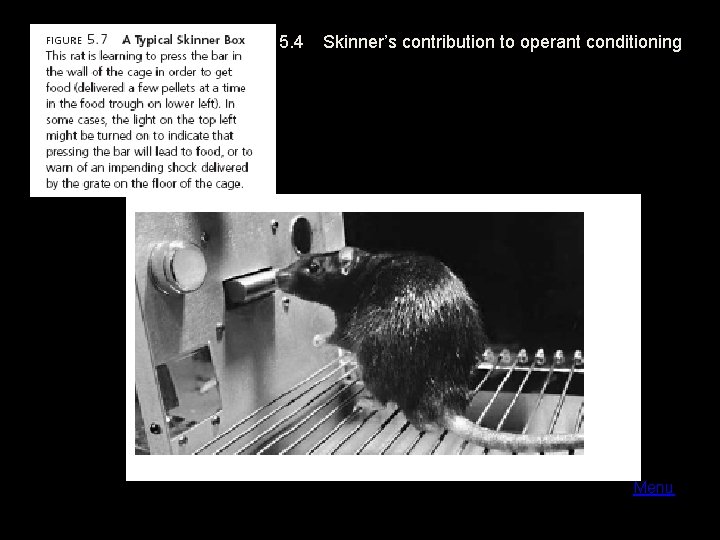 LO 5. 4 Skinner’s contribution to operant conditioning Menu 