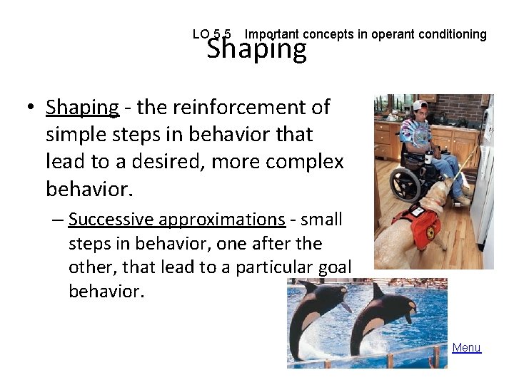 LO 5. 5 Important concepts in operant conditioning Shaping • Shaping - the reinforcement