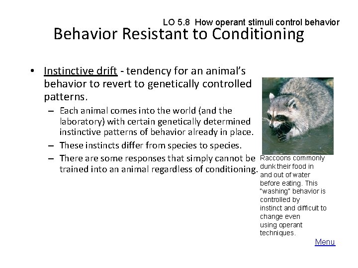 LO 5. 8 How operant stimuli control behavior Behavior Resistant to Conditioning • Instinctive