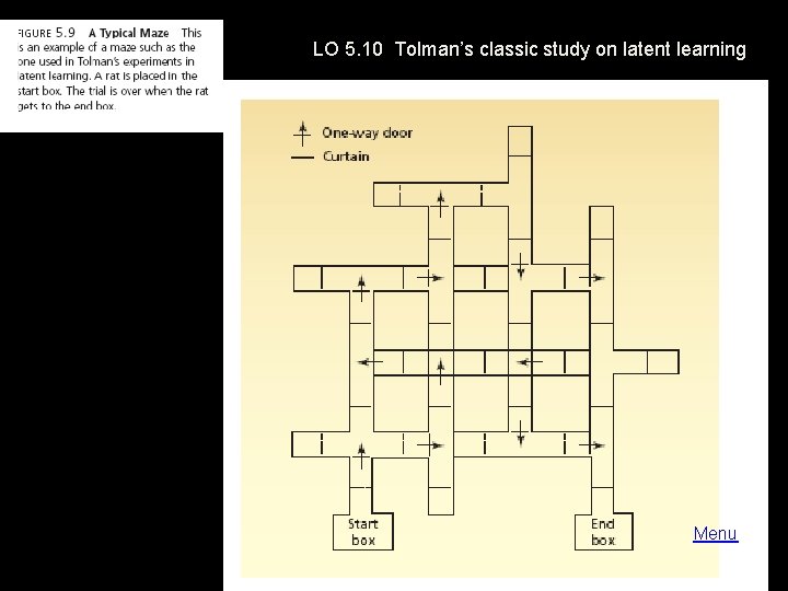 LO 5. 10 Tolman’s classic study on latent learning Menu 