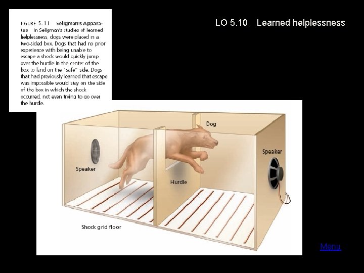 LO 5. 10 Learned helplessness Menu 