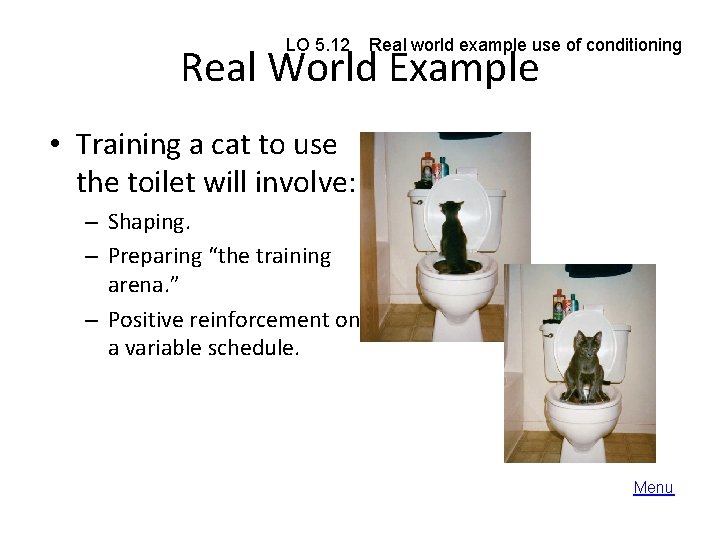 LO 5. 12 Real world example use of conditioning Real World Example • Training