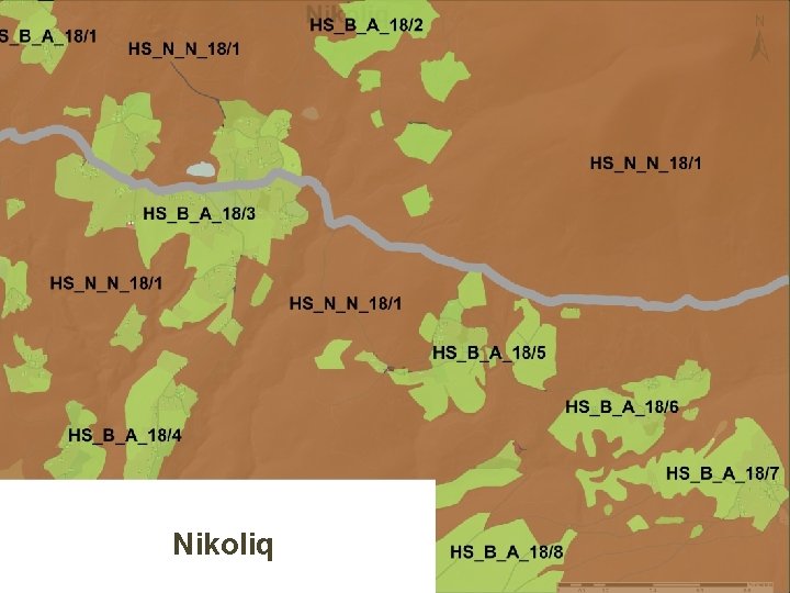 Nikoliq 