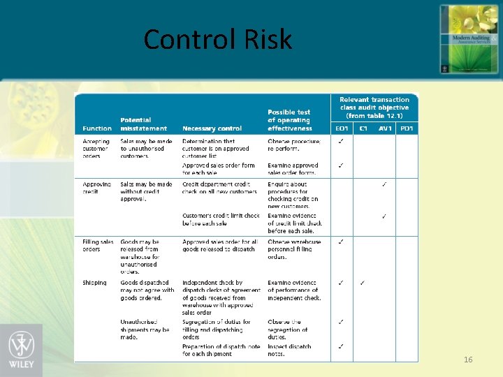 Control Risk 16 