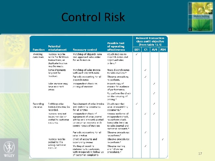 Control Risk 17 