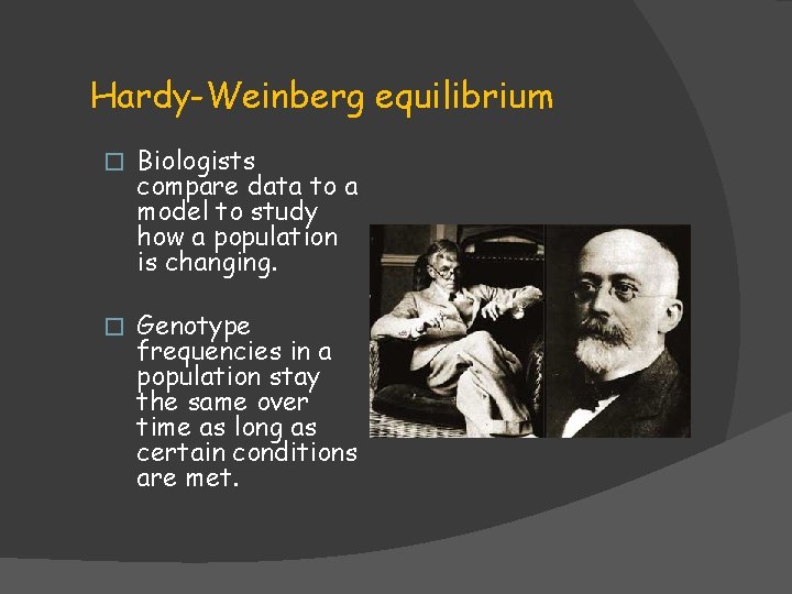 Hardy-Weinberg equilibrium � Biologists compare data to a model to study how a population Hardy-Weinberg equilibrium � Biologists compare data to a model to study how a population