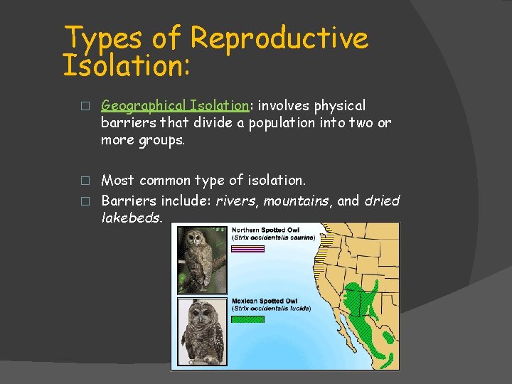 Types of Reproductive Isolation: � Geographical Isolation: involves physical barriers that divide a population Types of Reproductive Isolation: � Geographical Isolation: involves physical barriers that divide a population