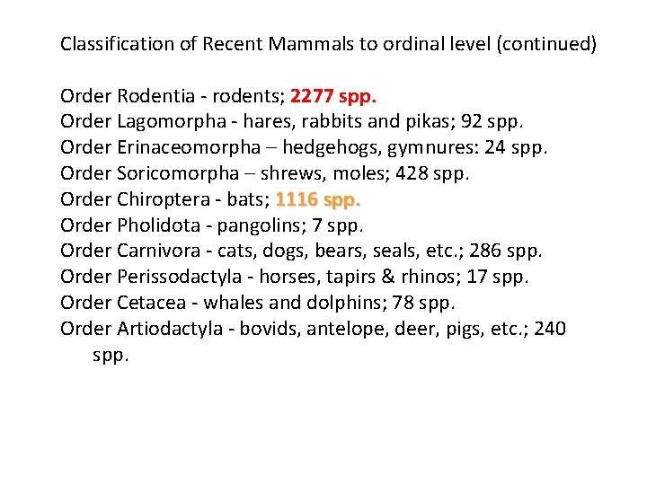 Classification of Recent Mammals to ordinal level (continued) Order Rodentia - rodents; 2277 spp.