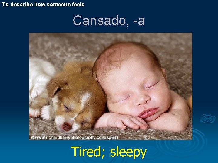 To describe how someone feels Cansado, -a Tired; sleepy 