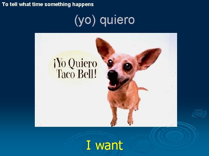 To tell what time something happens (yo) quiero I want 