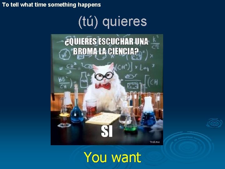 To tell what time something happens (tú) quieres You want 