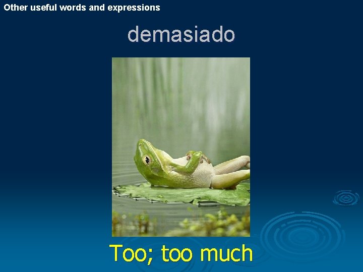 Other useful words and expressions demasiado Too; too much 