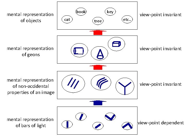 mental representation of objects mental representation of geons book cat key tree etc. .