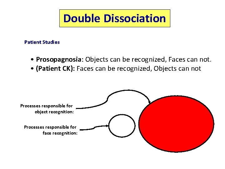 Double Dissociation Patient Studies • Prosopagnosia: Objects can be recognized, Faces can not. •