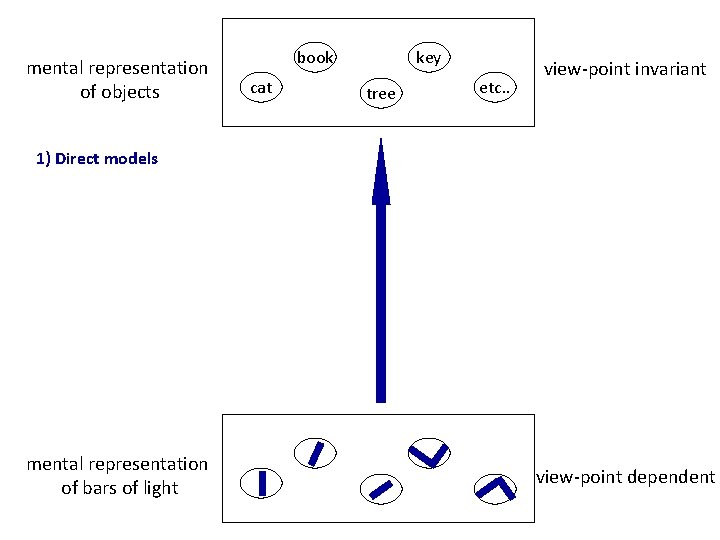 mental representation of objects book cat key tree etc. . view-point invariant 1) Direct