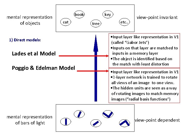 mental representation of objects book cat 1) Direct models: Lades et al Model Poggio