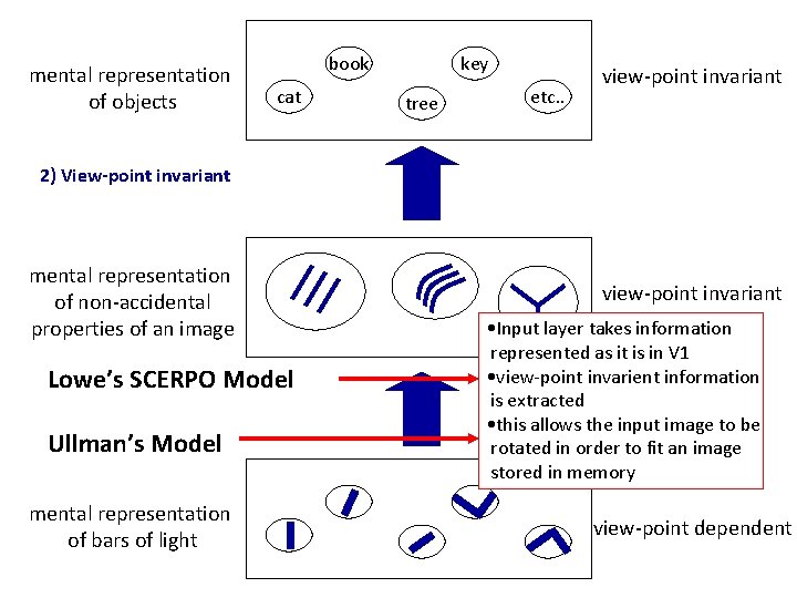 mental representation of objects book cat key tree etc. . view-point invariant 2) View-point