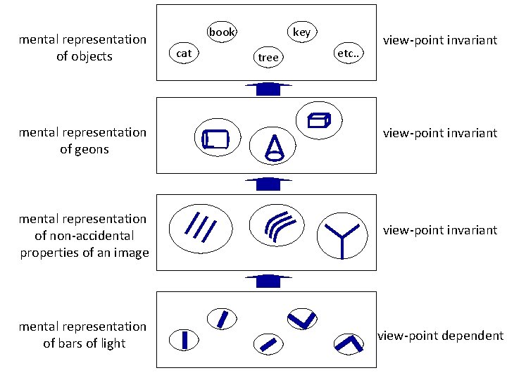 mental representation of objects mental representation of geons book cat key tree etc. .