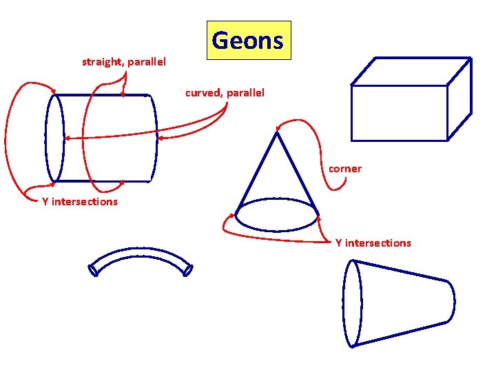 straight, parallel Geons curved, parallel corner Y intersections 