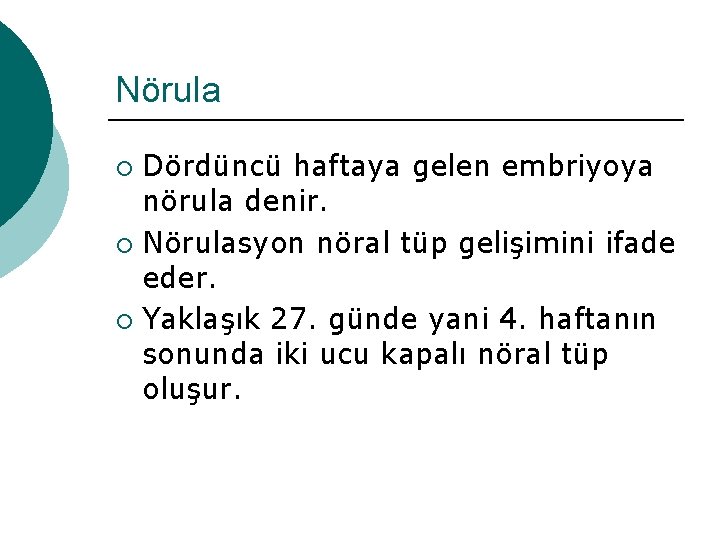 Nörula Dördüncü haftaya gelen embriyoya nörula denir. ¡ Nörulasyon nöral tüp gelişimini ifade eder.