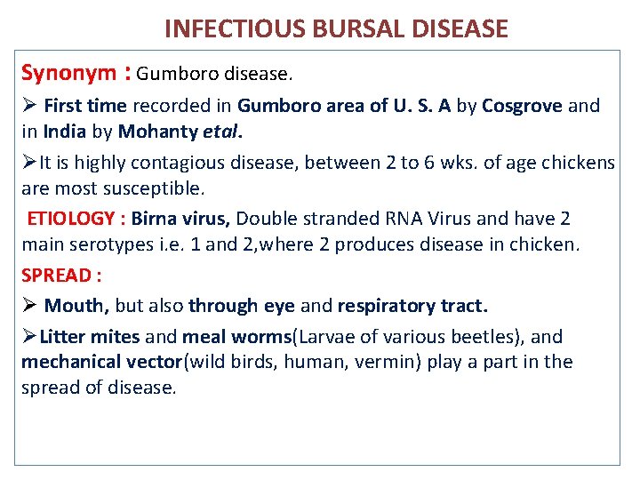 INFECTIOUS BURSAL DISEASE Synonym : Gumboro disease. Ø First time recorded in Gumboro area