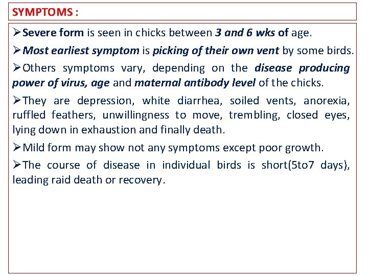 SYMPTOMS : ØSevere form is seen in chicks between 3 and 6 wks of