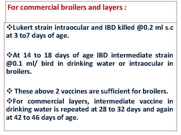 For commercial broilers and layers : v. Lukert strain intraocular and IBD killed @0.