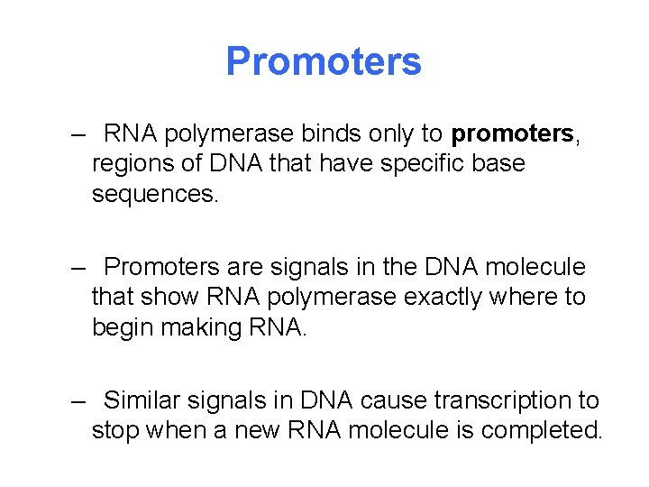 Promoters – RNA polymerase binds only to promoters, regions of DNA that have specific